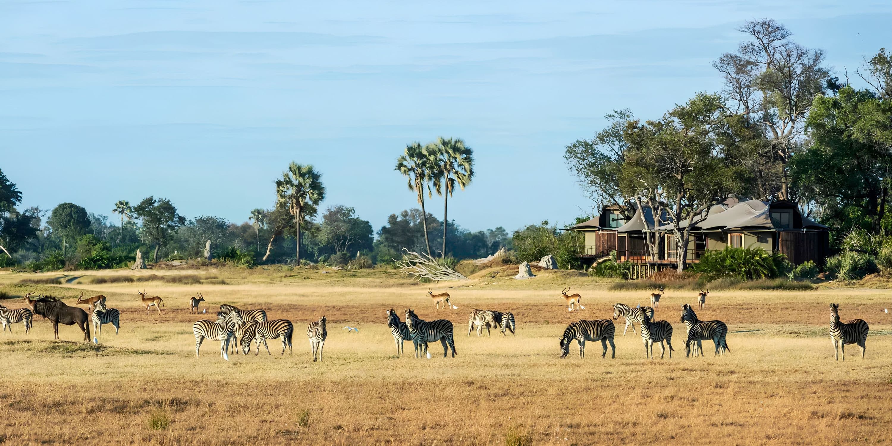 Xigera Safari Lodge