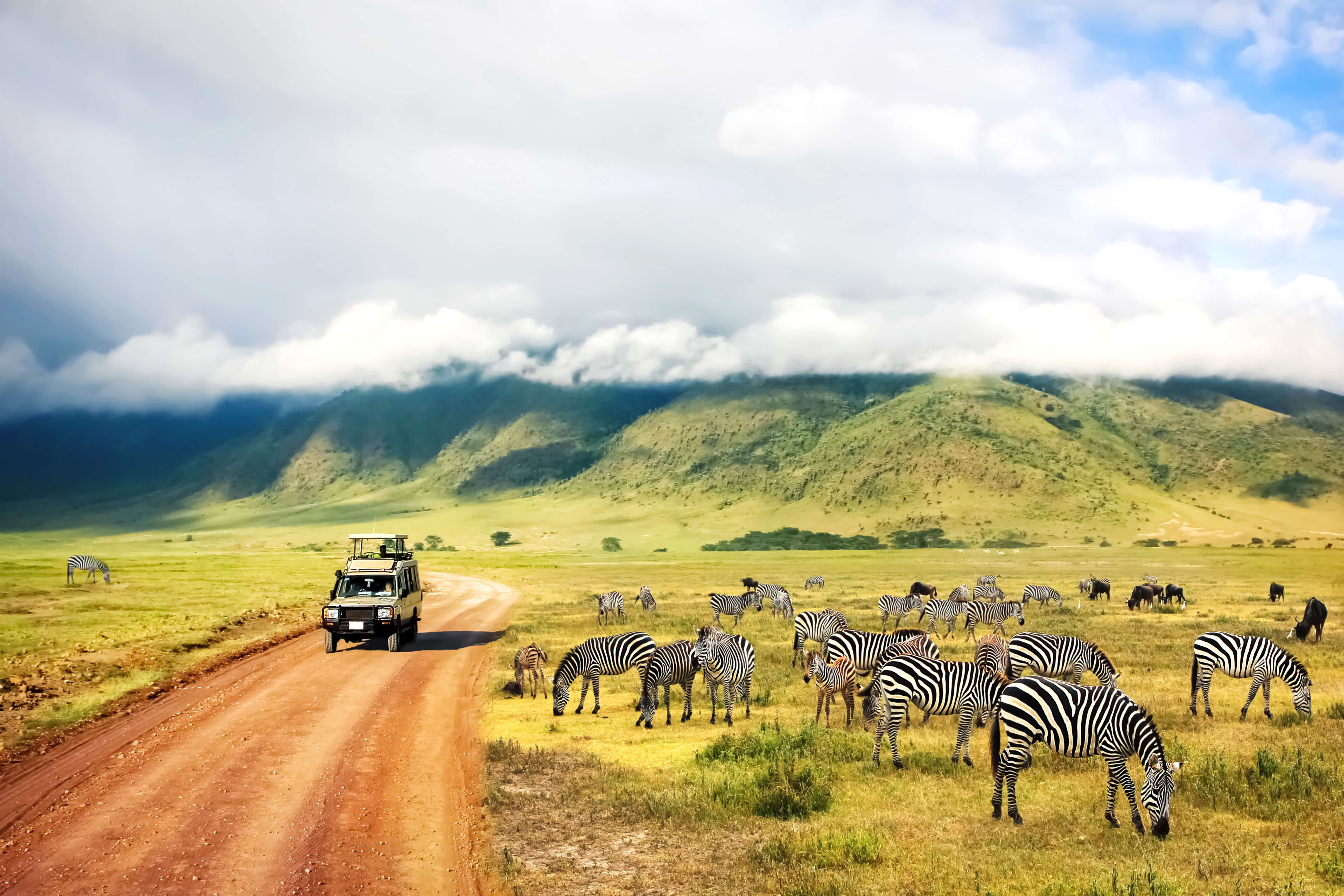 safari tour tanzania